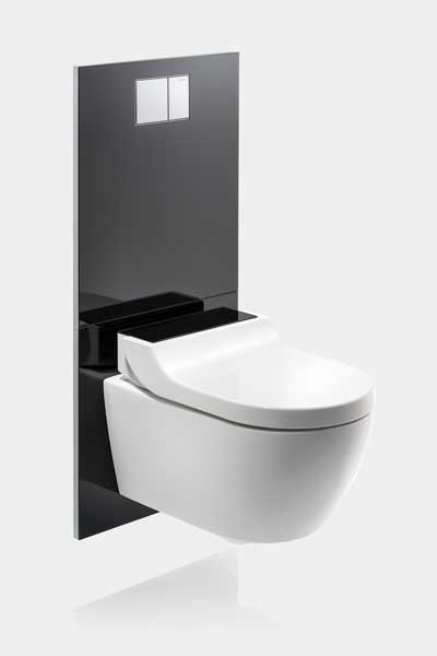 Geberit Monolith Toilette